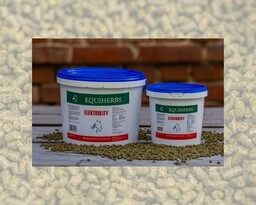 EQUIHERBS Elektrolity 2 kg - granulat