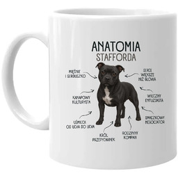 Anatomia Stafforda - kubek na prezent dla miłośnika