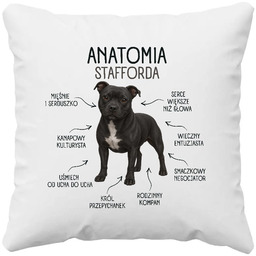 Anatomia Stafforda - poduszka na prezent dla miłośnika