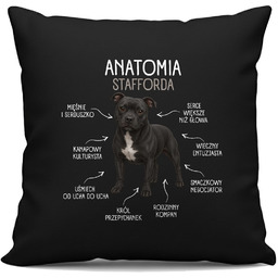 Anatomia Stafforda - czarna poduszka na prezent
