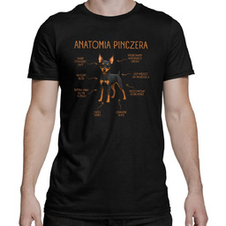 Anatomia Pinczera - męska koszulka na prezent