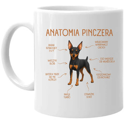 Anatomia Pinczera - kubek na prezent dla miłośnika