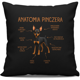Anatomia Pinczera - czarna poduszka na prezent