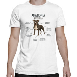 Anatomia Pitbulla - męska koszulka na prezent