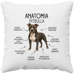 Anatomia Pitbulla - poduszka na prezent dla miłośnika