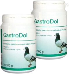 Dolfos GastroDol 2x300g