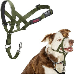 HALTI Obroża na głowę Aby zatrzymać psa ciągnącego