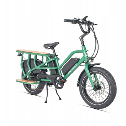 Rower elektryczny Cargo Jobobike Transer, koło 20 "