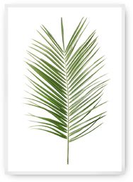 Plakat Palm Leaf Green, 30 x 40 cm,