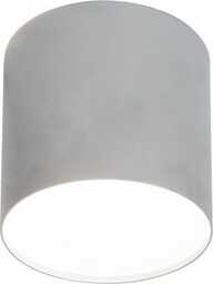 Point Plexi M lampa sufitowa 1-punktowa srebrna 6527