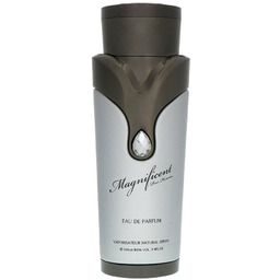 Armaf Magnificent Pour Homme, woda perfumowana, 100 ml