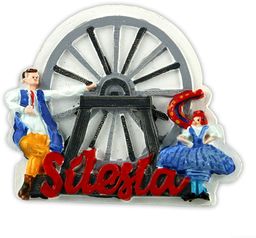 Magnes Silesia