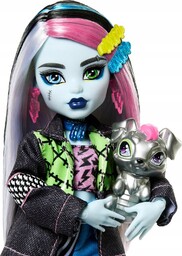 Mattel Mh Lalka Podst Frankie Stein HXH73 WB4