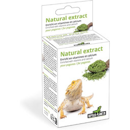 Gady - planeta ceramiczny uchwyt lampy z zaciskiem