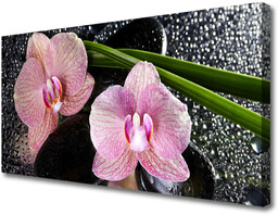 Obraz Canvas Kwiaty Orchidea Storczyk Zen