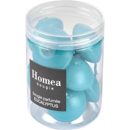 Świece 35146 parafina, eukaliptus, rozmiar uniwersalny