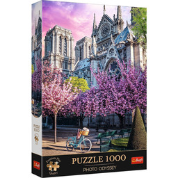 Puzzle 1000 elementów Premium Plus Quality Katedra Notre-Dame,