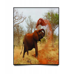 PUZZLE Pejzaż Krajobraz Afryka Słoń A3 252 el