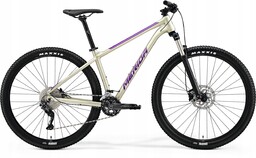 Rower Merida Big.nine 300 silk champagne (purple) 20