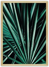 Plakat Dark Palm Tree, 30 x 40 cm,