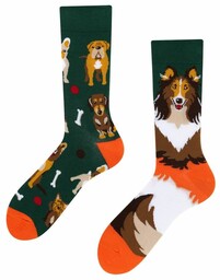 Todo Socks Dogs,, Pieski, Kości, Kolorowe Skarpetki Kolor