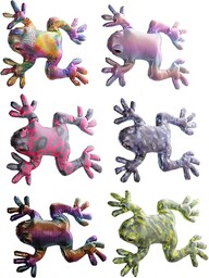 Nieznany Piasek Zwierzę Żaba Duża