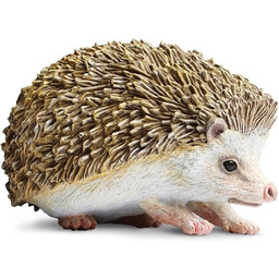 Jeż