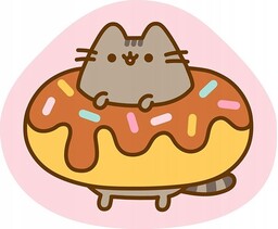 kot kotek PUSHEEN donut poduszka kształtka velvet 40x35