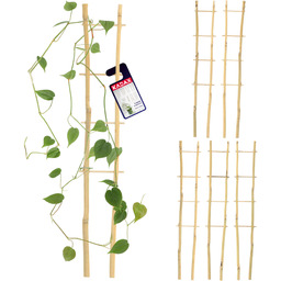 Drabinka bambusowa do kwiatów Taio 38 cm 5