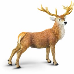 Nowość - Jeleń - Figurki zwierząt SafariLtd 181929