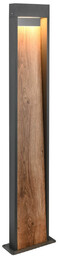 Trio Stojąca lampa ogrodowa Salmon 446960135 LED 13W