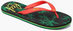 japonki męskie REEF SWITCHFOOT PRINTS Rasta Palm