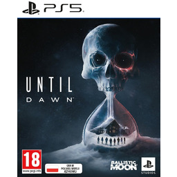Gra PS5 Until Dawn