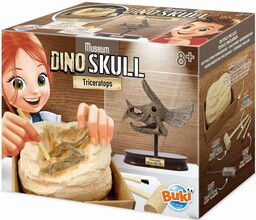 Muzeum czaszek dinozaura - TRICERATOPS 2131-Buki, zabawki rozwojowe