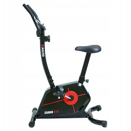 Rower Magnetyczny Allto Cardio B10