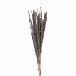 Suszone Trawy Pampasowe Bukiet 100 cm D Clayre