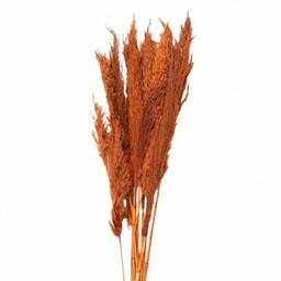 Suszone Trawy Pampasowe Bukiet 90 cm B Clayre