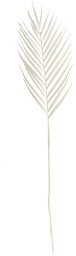 Gałązka Palmera 95 cm white, 22x1x95 cm