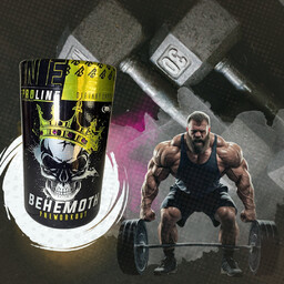 Behemoth Preworkout 500g Pomarańczowy  Energia, Pompa, Koncentracja