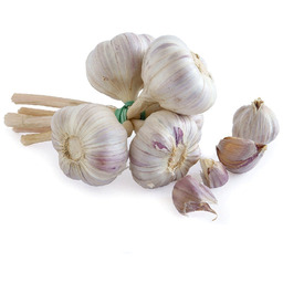 Czosnek Warkocz - naturalny i aromatyczny