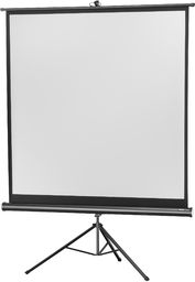 celexon Economy 184 x 184 cm ekran projekcyjny
