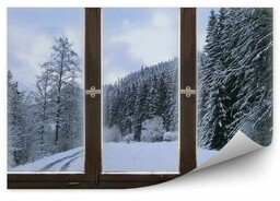 Zima śnieg choinki ścieżka widok za oknem domek