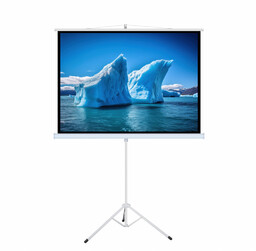 EKRAN RĘCZNY NA STATYWIE 96'' 178x178cm TA-70 1:1