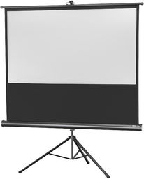 celexon Economy 219 x 123 cm ekran projekcyjny