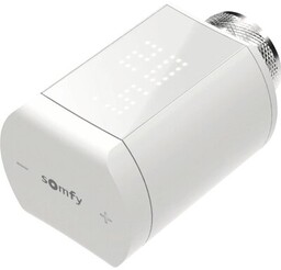SOMFY Głowica termostatyczna 1870508