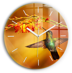 Nowoczesny szklany zegar ścienny Koliber ptak fi30