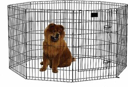 MidWest Homes for Pets Pióro do ćwiczeń