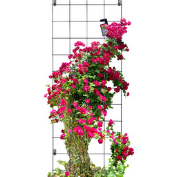 Pergola metalowa na kwiaty 170 x 65 cm