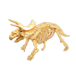 Szkielet dinozaura do odkopania i złożenia Triceratops Mały