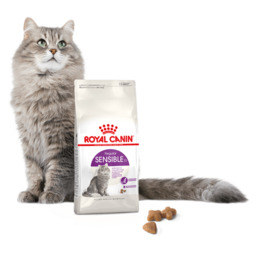 ROYAL CANIN Sensible 10kg